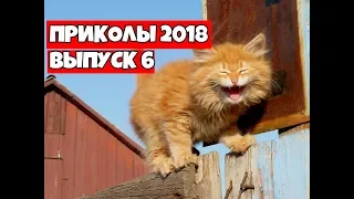 Лучшие приколы 2018 Июнь - Подборка приколов, ржака до слез угар прикол #6