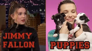 Millie Bobby Brown | domande con i cuccioli e da Jimmy Fallon [Sub ITA]