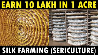 Silk Farming (Sericulture) | How Silk is made from Silkworm