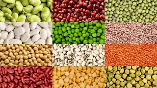 English Vocabulary - BEANS AND PEAS