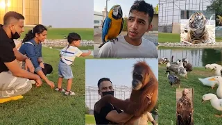 Umm al quwain zoo|| zoo in Uae || Must visit place in UAE || Newly Opened Zoo || wildlife park