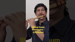 Illamai Enum Poonkaatru - @flutevijay