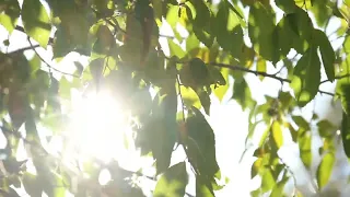 Этим трём знакам зодиака крупно повезёт в апреле.