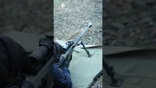 50 BMG Echo In The Canyon