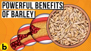 9 POWERFUL Benefits Of Eating Barley Every Day You Must Know