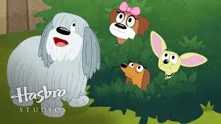 Pound Puppies - How Cranky Could They Get?