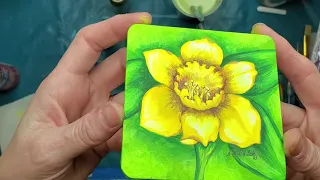 DA225 🌼 HAND-PAINTED DAFFODIL 🌼 With DECOART PAINTS With Sandra Lett 032121