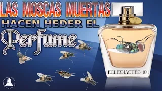 LAS MOSCAS MUERTAS HACEN HEDER EL PERFUME