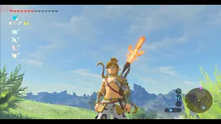 Zelda Botw No Cel Shading & Distant Fog Removed - by SkalFate & Altros