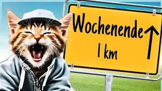 Witzige Wochenendgrüße & fröhliche Vierbeiner zum Teilen 😸