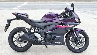 Rodolfinho da Z- Testando YAMAHA YZF R3 2024