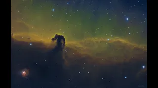 Astrophotography Journey: Progress over the past few years with the Horse Head nebula