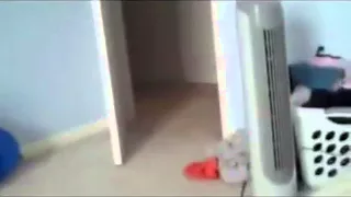 Scared Cat Jumps High