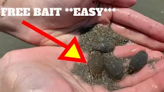 Best Saltwater Bait **FREE** How To Catch Sand Fleas With Bare Hands/No Equipment | SFSC