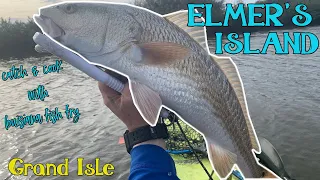 Catch & Cook: Elmer's Island Part 1