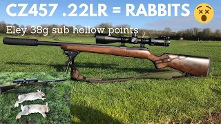 CZ457 Varmint Rabbit control with Eley .22lr sub hollow point