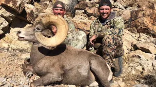 "FULL CIRCLE" - A Nevada Desert Bighorn Sheep Hunt