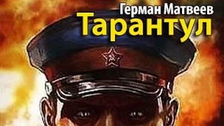 Герман Матвеев. Тарантул 9