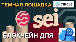 SEI NETWORK - ИКСЫ ОБЕСПЕЧЕНЫ?!