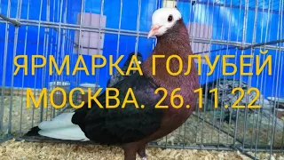 26.11.22 ЯРМАРКА ГОЛУБЕЙ. МОСКВА