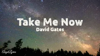 Take Me Now Lyrics by: David Gates