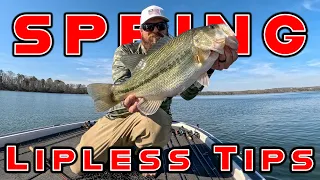 Lipless Crankbait Tricks and Spring Bass Fishing Tips!