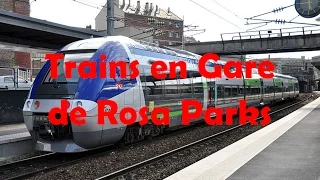 Trains en Gare de Rosa Parks - RER E - TER - TGV - ICE - INTERCITE