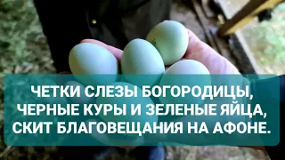 ЧЕТКИ СЛЕЗЫ БОГОРОДИЦЫ, ЧЕРНЫЕ КУРЫ И ЗЕЛЕНЫЕ ЯЙЦА,В СКИТУ БЛАГОВЕЩЕНИЯ НА АФОНЕ.