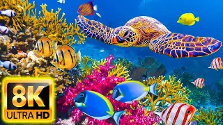 Aquarium 8K ULTRA HD - Beautiful Relaxing Coral Reef Fish - Relaxing Sleep Meditation Music