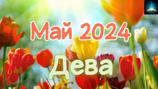 Дева. Май 2024 Таро Прогноз