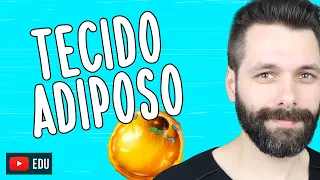 TECIDO ADIPOSO - Tecido Conjuntivo especial | Biologia com Samuel Cunha