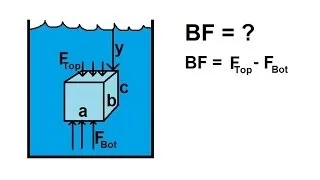 Physics 33 - Fluid Statics (8 of 10) Buoyancy Force