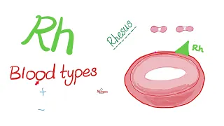 ABO Blood Antigens and Rh (D Antigen) 🩸 | Biology 🧪