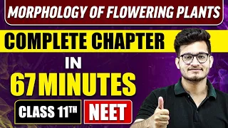 MORPHOLOGY OF FLOWERING PLANTS IN 67 Minutes | Full Chapter Revision | Class 11 NEET