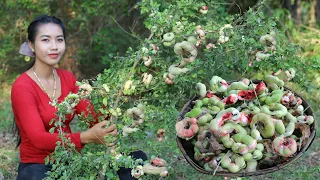 Tasty Fresh fruit in my homeland - Healthy food