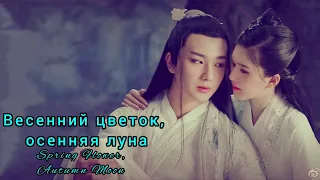 💮 Весенний цветок, осенняя луна💮Spring Flower, Autumn Moon💮 Любовь лучше бессмертия