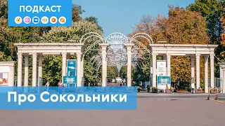 Сокольники – царская охота, парк и больницы от меценатов | Подкаст «Про Мой район»