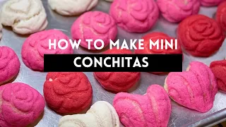 The Best CONCHAS Recipe- Homemade conchas- easy Pan Dulce recipe, Conchas Mexicanas
