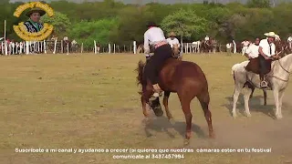 Jineteada de la fiesta prov. del ternero Entrerriano 2022