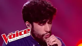 Berywam (MB14) "Medley" | The Voice France 2017 | Live