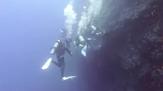 220828 El Bells, Dahab, Egypt [Orca Dive]