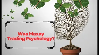 Waa Maxay Trading Psychology? Goorma ayaadse U baahanyahay?