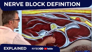 Nerve block definition - Regional anesthesia Crash course with Dr. Hadzic