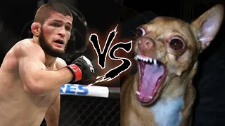 Funny Khabib Scared of Dogs Story - Locks Coach's Pets Outside and Gets Thrown Out - Javier Mendez