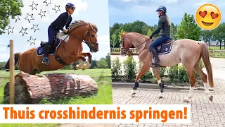 Thuis eerste crosshindernis springen + TWEEDE PAARD update! | felinehoi VLOG #448