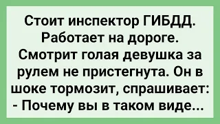 Инспектор Остановил Голую Девушку! Сборник Свежих Смешных Жизненных Анекдотов!