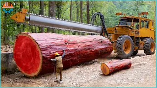 150 Amazing Fastest Big Chainsaw Cutting Tree Machines Working At Another Level