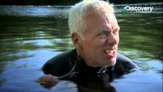 Sea Lamprey | River Monsters