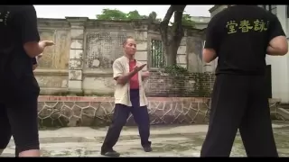 "Wing Chun" Documentary