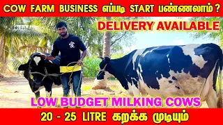 COW FARM BUSINESS தொடங்கலாமா? | Cow Farm Businness Ideas Tamil | Low Budget Milking Cows Pollachi